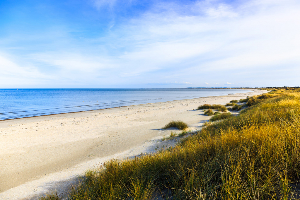 Havsutsikt från stranden